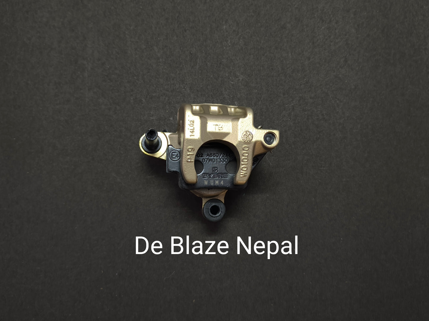 Pulsar 220 Rear Disc Caliper ( Genuine )