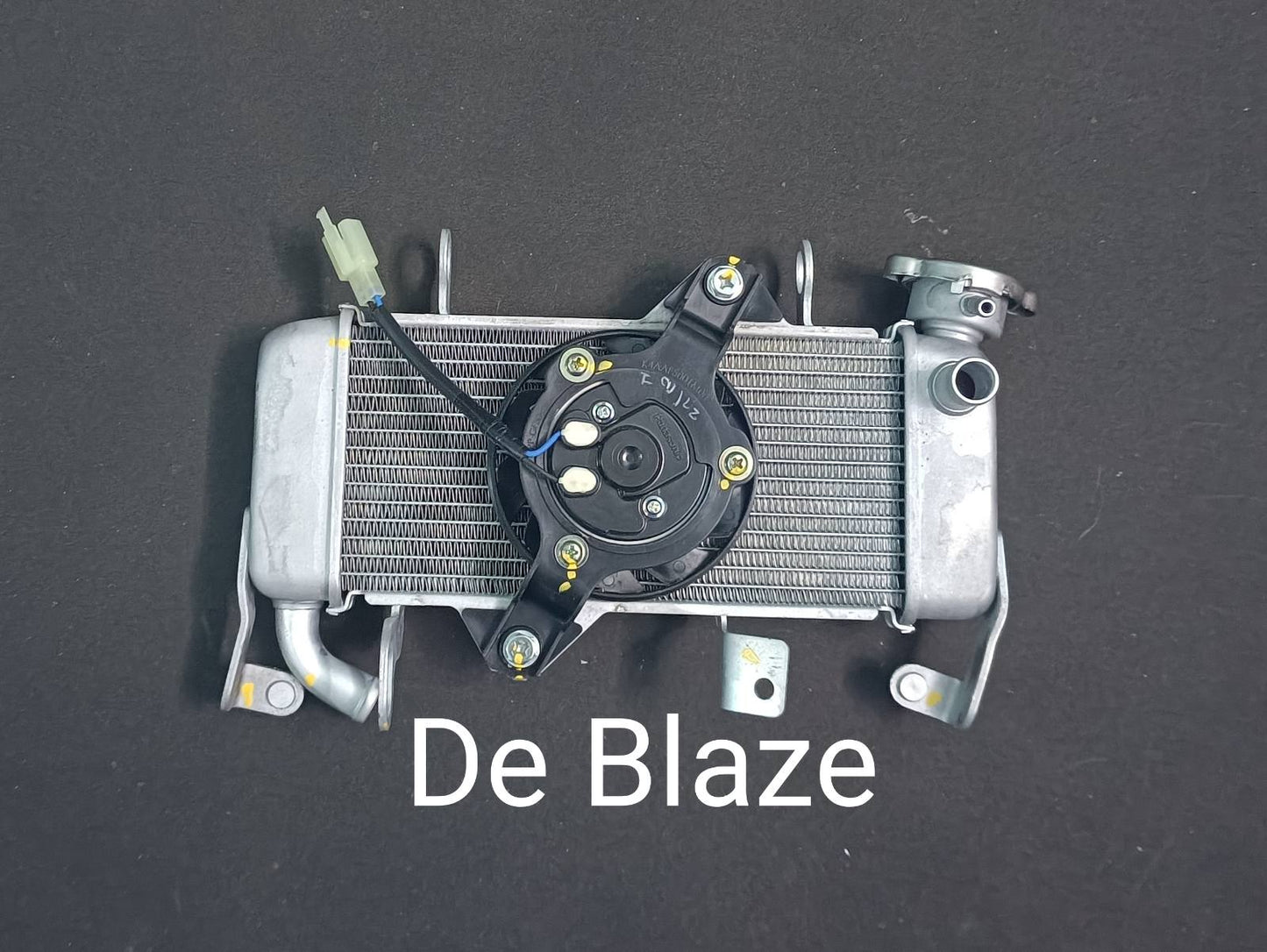 Yamaha R15 v3 / MT-15 Radiator Assembly ( Genuine )