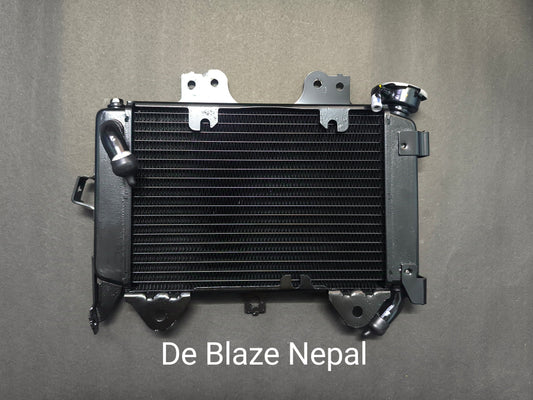 Bajaj NS 200 Radiator