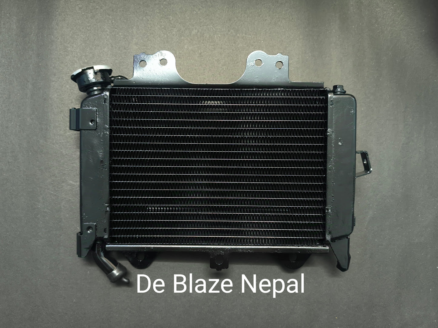 Bajaj NS 200 Radiator