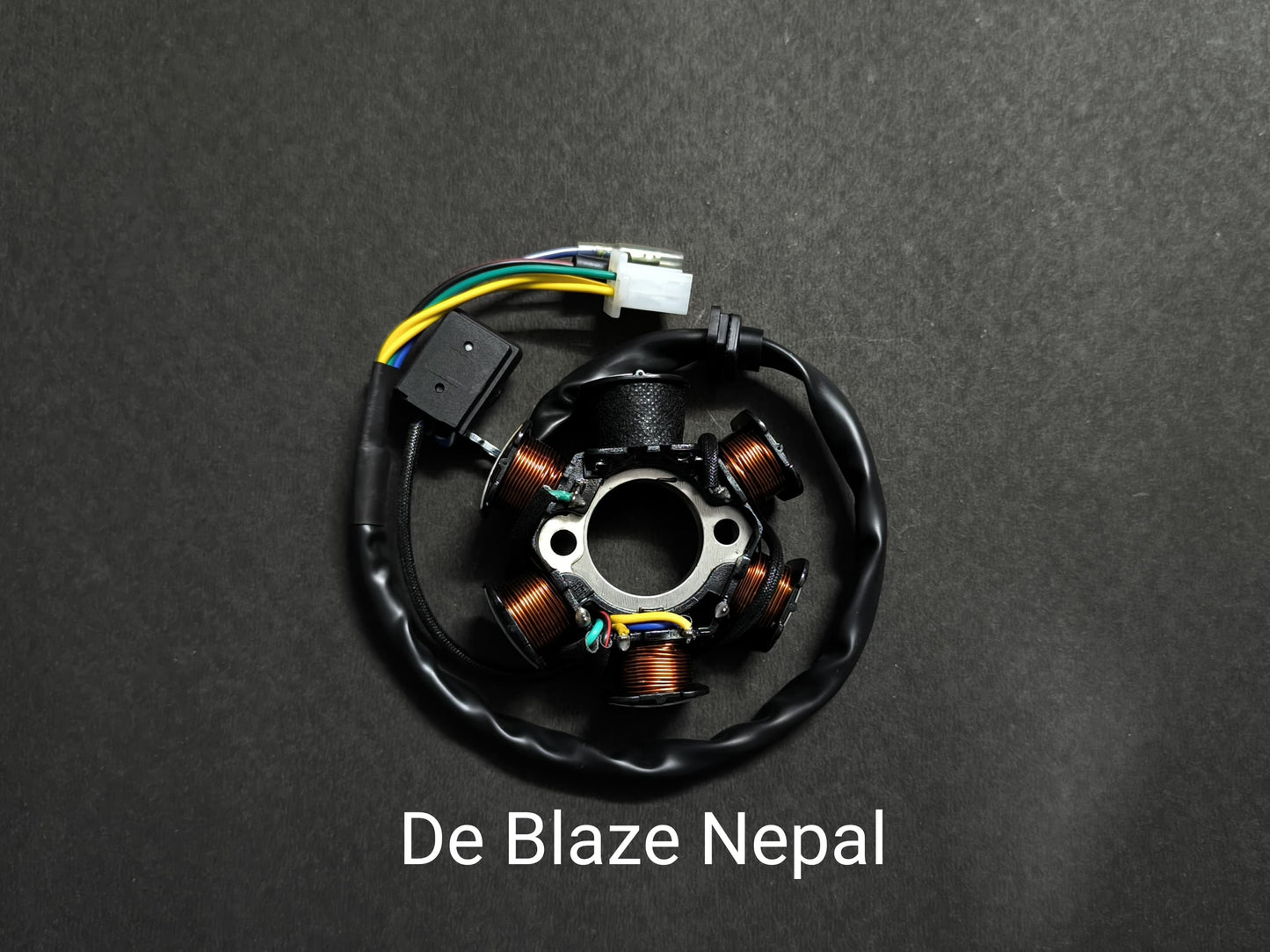 Magnet Coil 6 Poles ( 2 Holes )