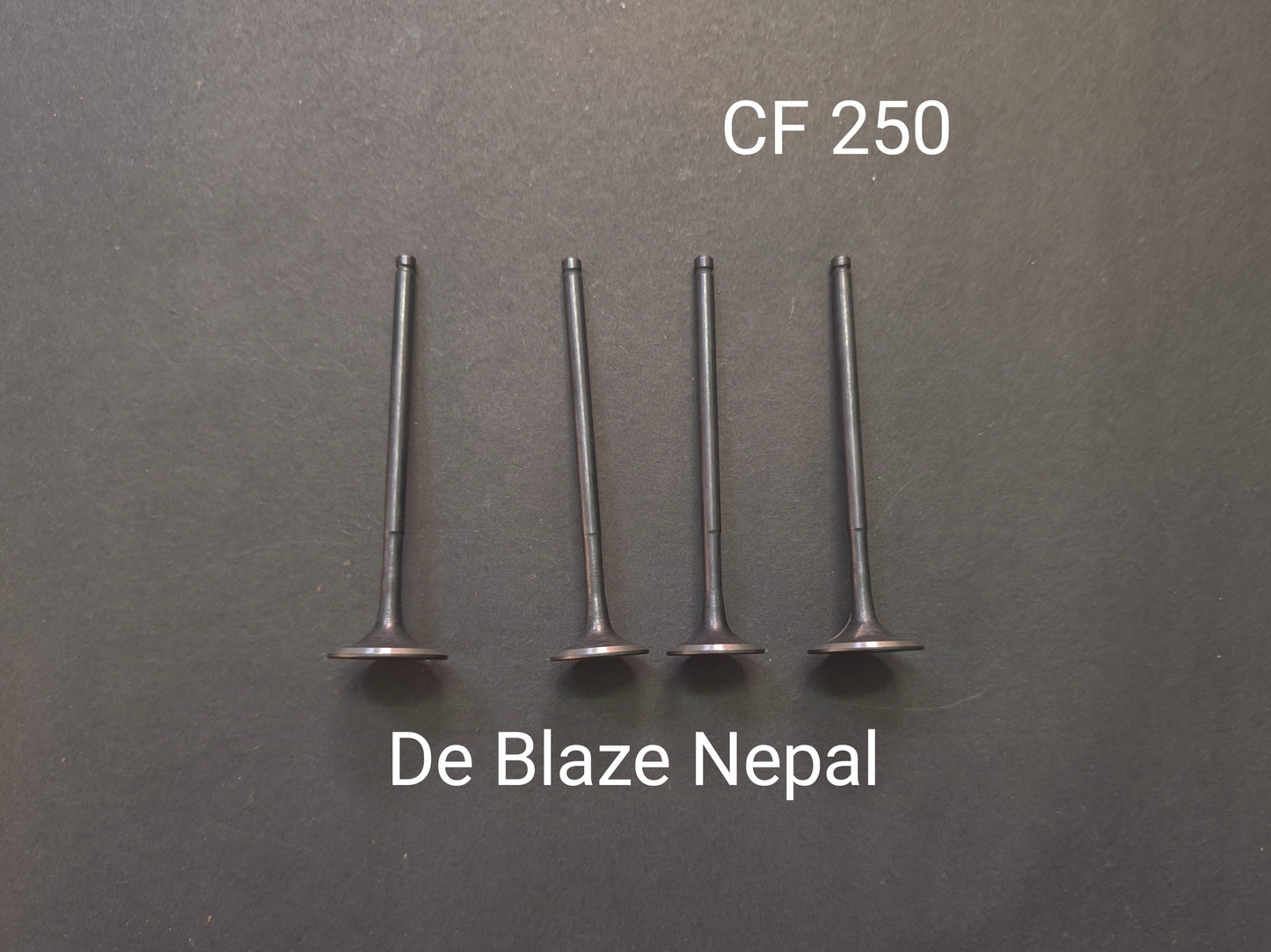 Cross Fire 250 Engine Valve Set